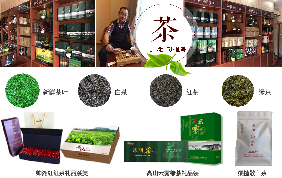 張家界林豐茶葉開發(fā)有限公司,張家界茶葉開發(fā),茶葉種植,桑植白茶加工,帥湘紅銷售