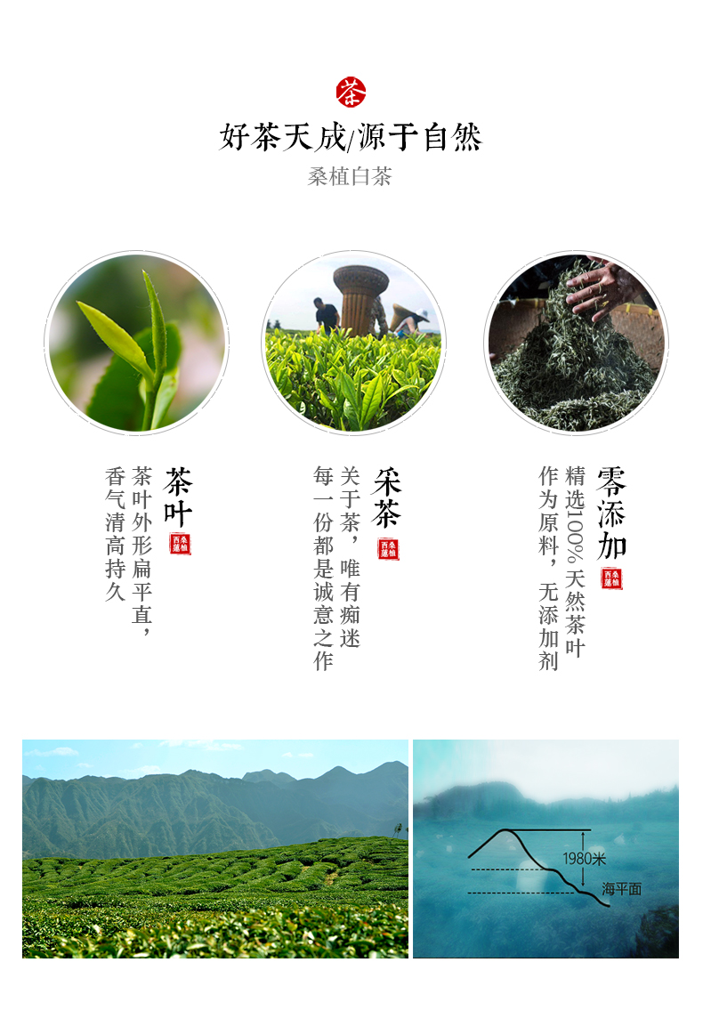 張家界林豐茶葉開發(fā)有限公司,張家界茶葉開發(fā),茶葉種植,桑植白茶加工,帥湘紅銷售